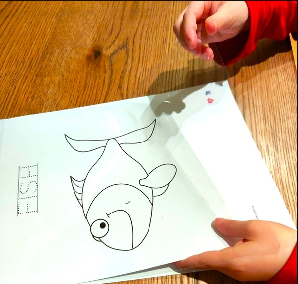  Trace Fish